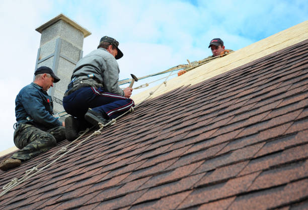 Roof Gutter Cleaning in Moundsville, WV